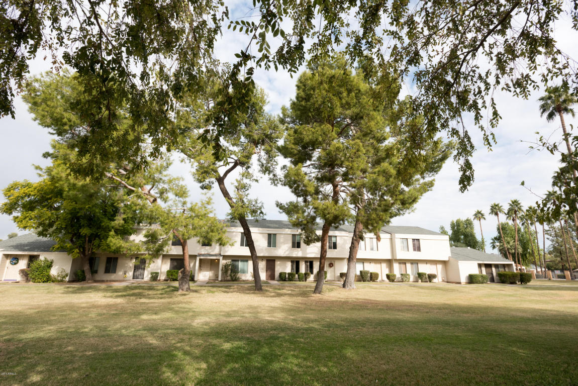 729 E Vaughn Dr, Tempe, AZ 85283 photo 17
