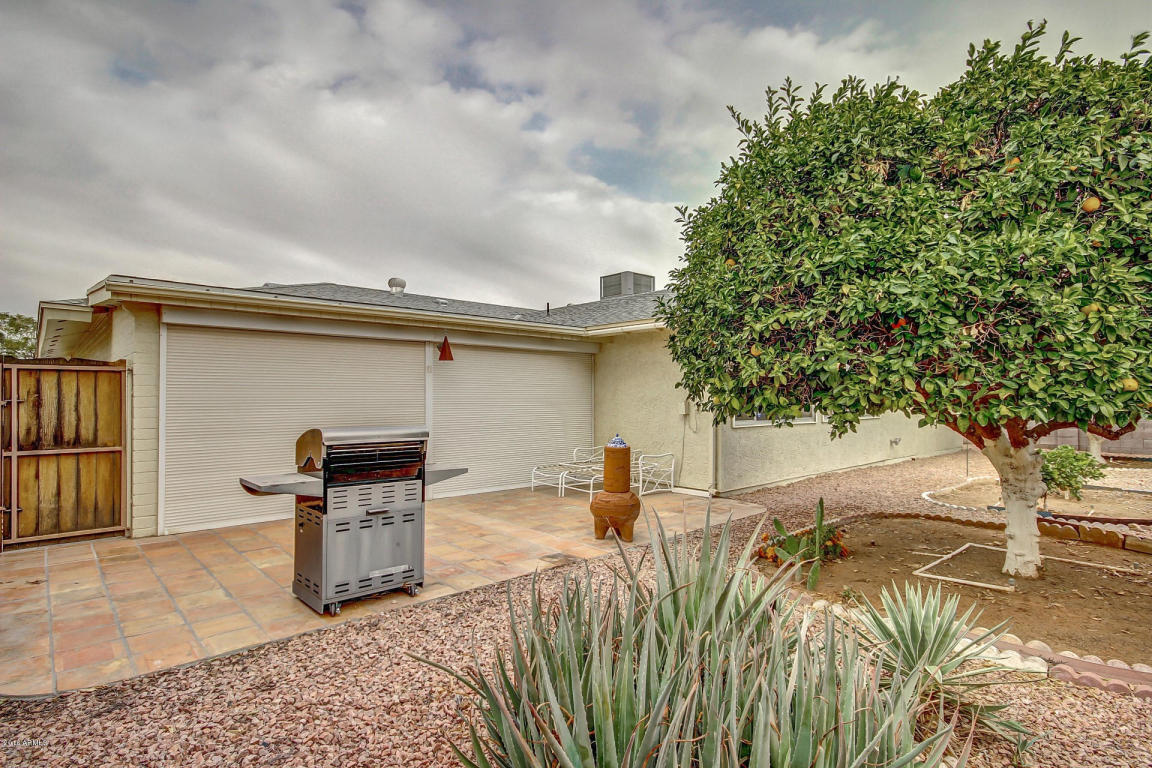 4155 E Dolphin Ave, Mesa, AZ 85206 photo 18