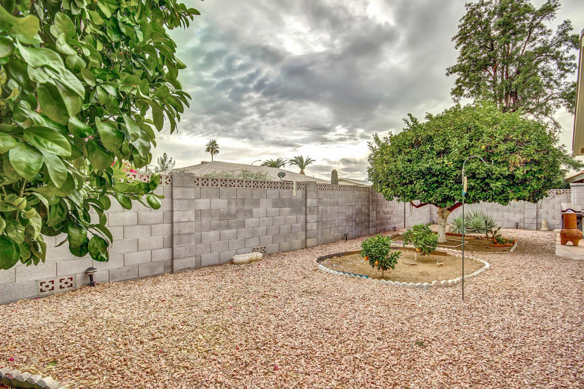4155 E Dolphin Ave, Mesa, AZ 85206 photo 20