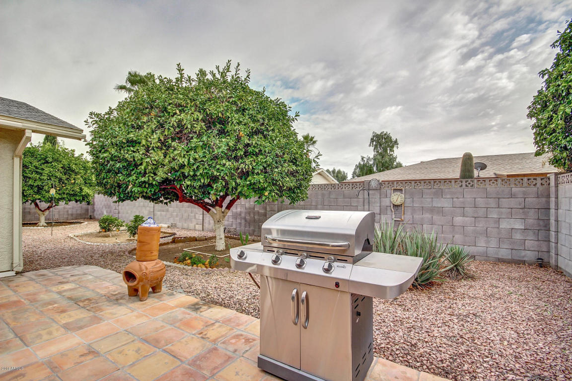 4155 E Dolphin Ave, Mesa, AZ 85206 photo 16