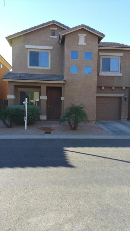 242 S Leandro --, Mesa, AZ 85208 photo 1