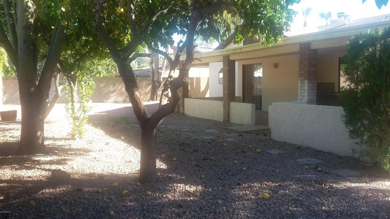 2656 E Hale St, Mesa, AZ 85213 photo 23