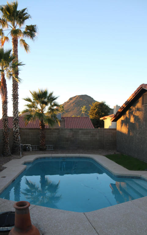 2113 E Crocus Dr, Phoenix, AZ 85022 photo 3