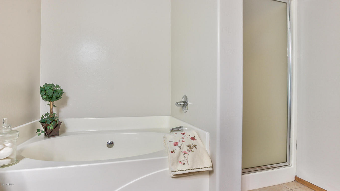 11528 E Renata Ave, Mesa, AZ 85212 photo 33