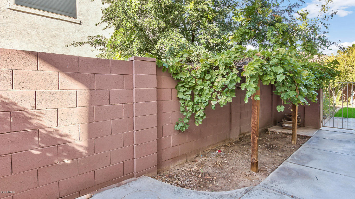 11528 E Renata Ave, Mesa, AZ 85212 photo 51