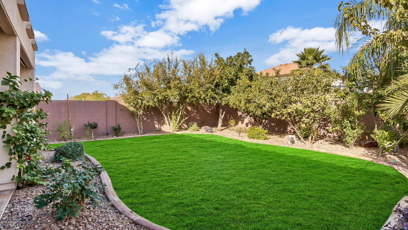 11528 E Renata Ave, Mesa, AZ 85212 photo 53