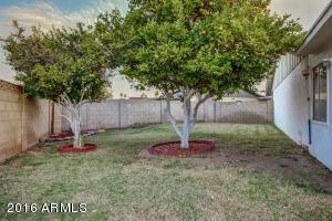 1900 E Harvard Dr, Tempe, AZ 85283 photo 14