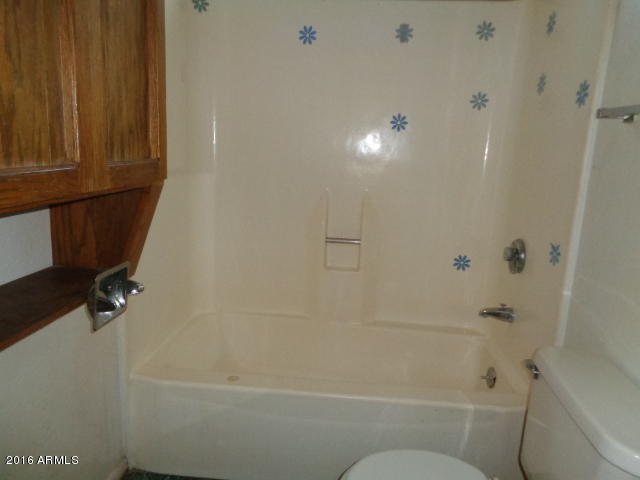 1541 W Vineyard Rd, Phoenix, AZ 85041 photo 23