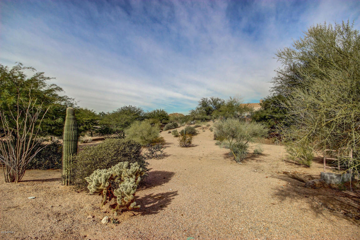 9524 E Knoll Cir, Mesa, AZ 85207 photo 6