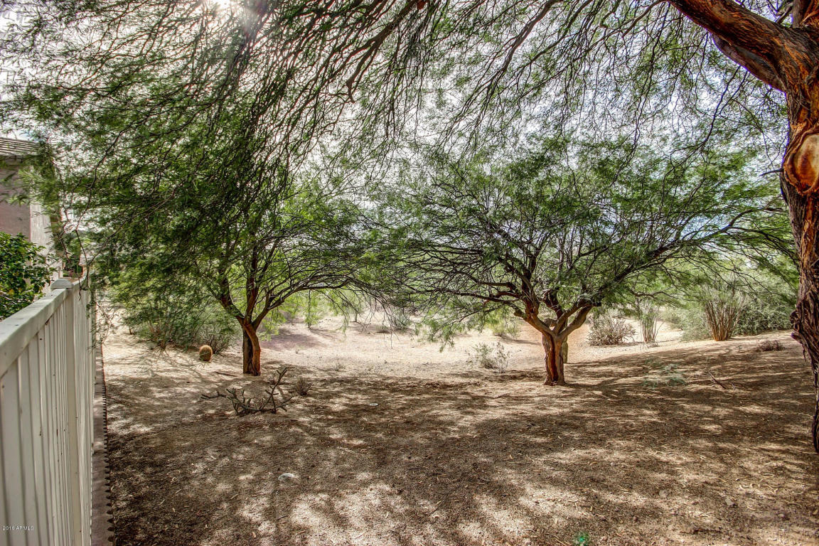 9524 E Knoll Cir, Mesa, AZ 85207 photo 47