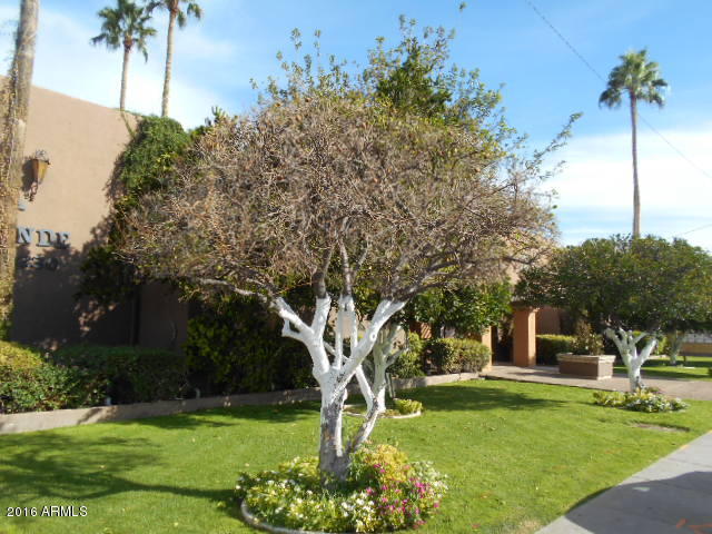3230 E Pinchot Ave #24, Phoenix, AZ 85018 photo 3