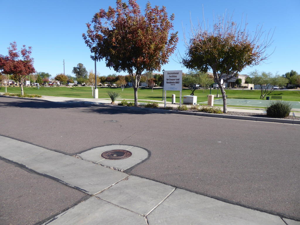 2133 E Sunland Ave, Phoenix, AZ 85040 photo 42