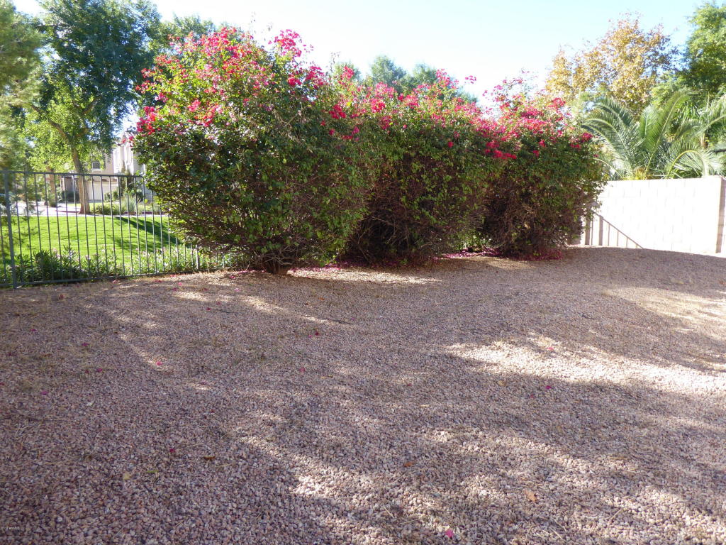 2133 E Sunland Ave, Phoenix, AZ 85040 photo 36