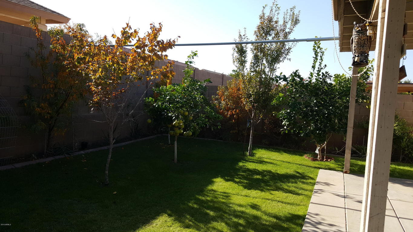 1843 E Apollo Rd, Phoenix, AZ 85042 photo 17
