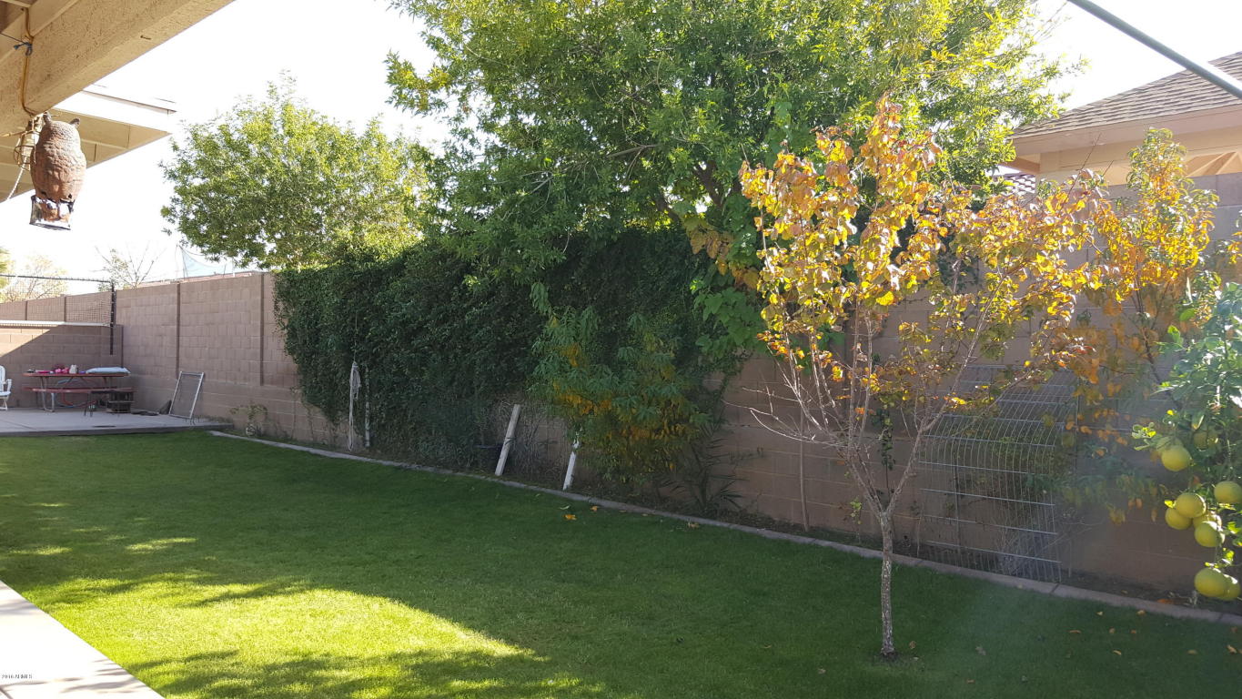 1843 E Apollo Rd, Phoenix, AZ 85042 photo 18