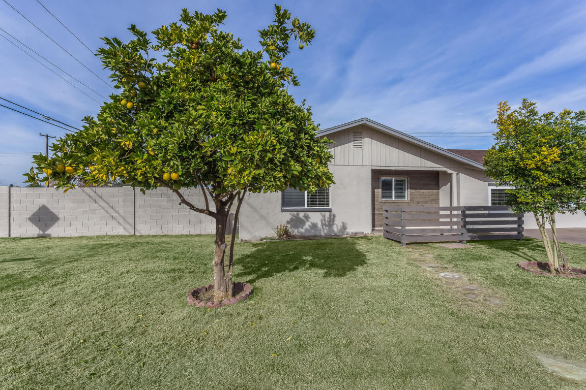 1006 E 9th Ave, Mesa, AZ 85204 photo 1