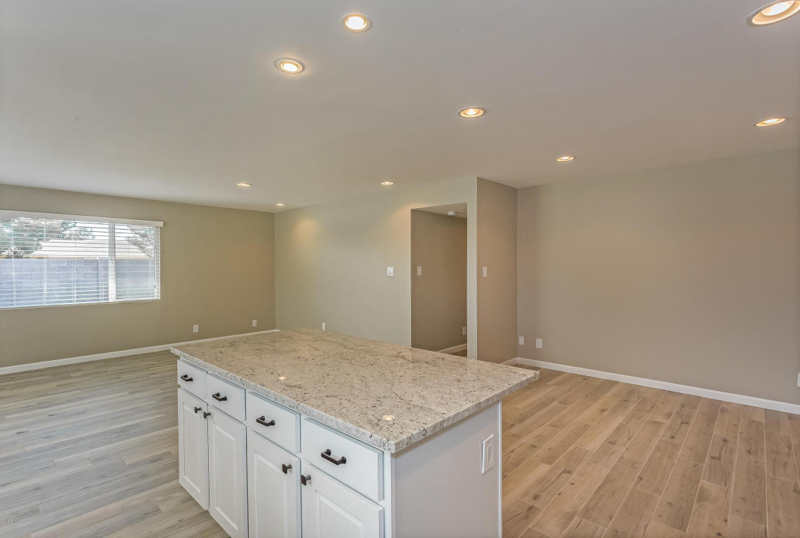 1006 E 9th Ave, Mesa, AZ 85204 photo 9