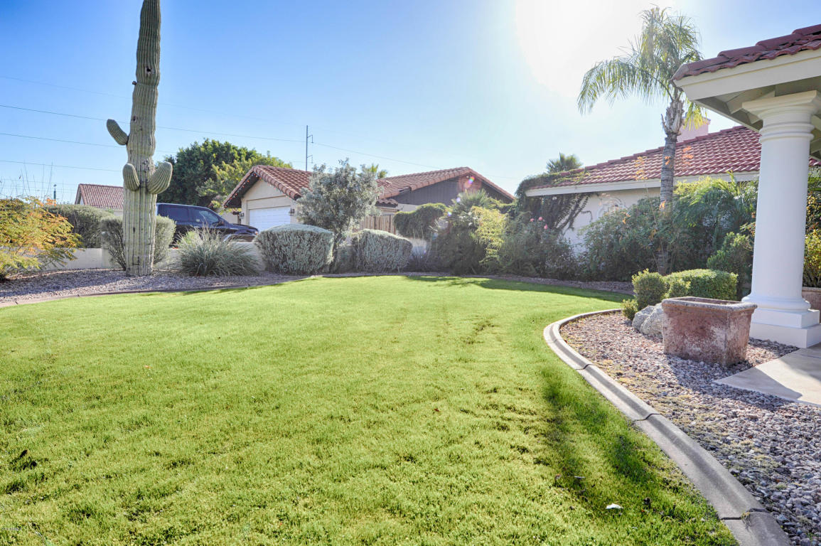 601 E Paradise Ln, Phoenix, AZ 85022 photo 5