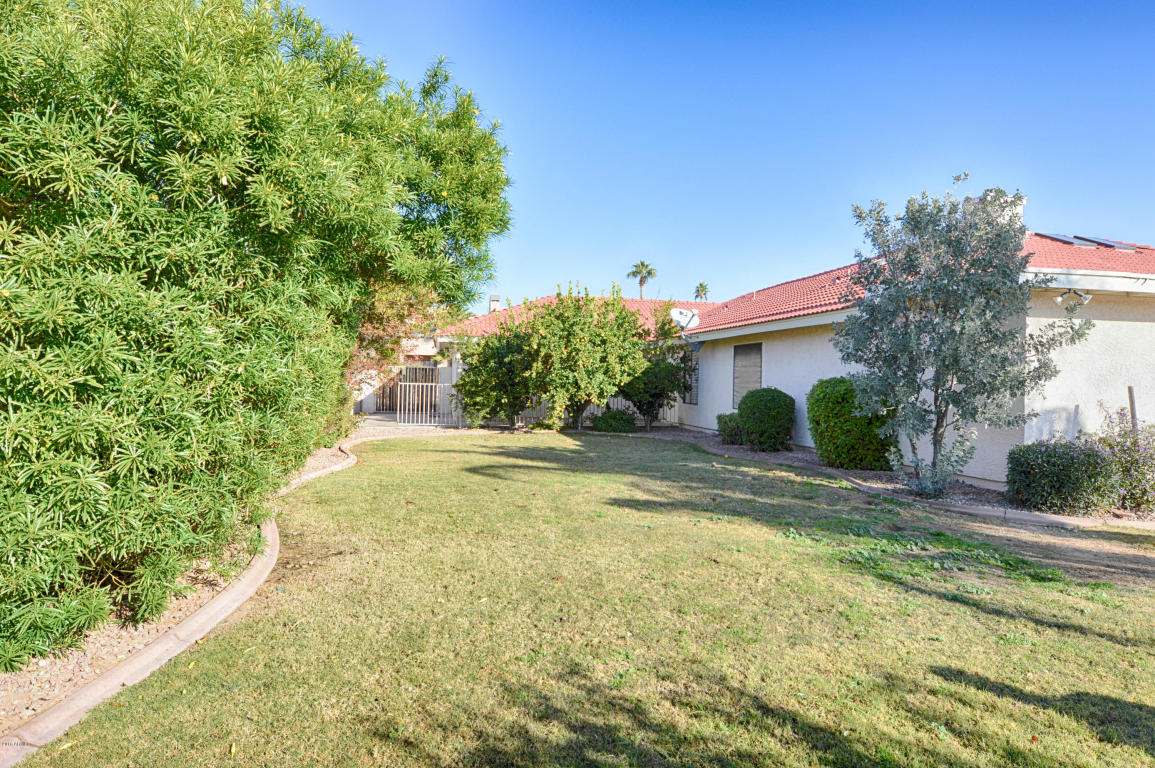 601 E Paradise Ln, Phoenix, AZ 85022 photo 45