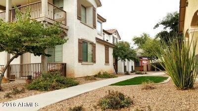 1656 E Joseph Way, Gilbert, AZ 85295 photo 10