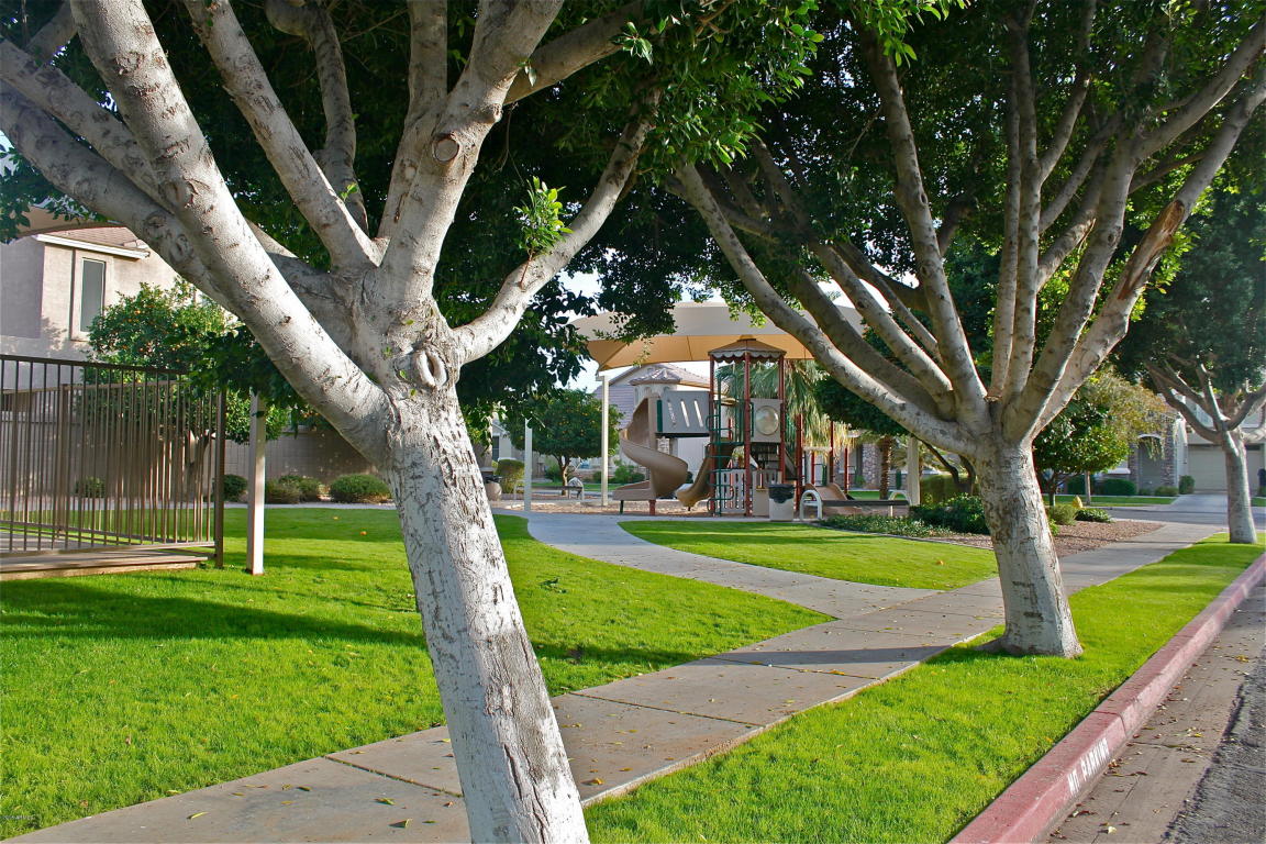 5258 E Hilton Ave, Mesa, AZ 85206 photo 13