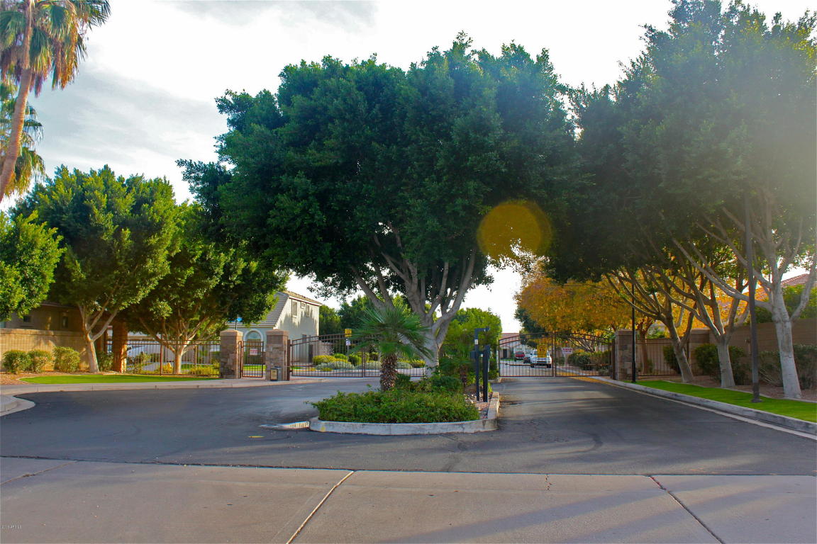 5321 E Hilton Ave, Mesa, AZ 85206 photo 19