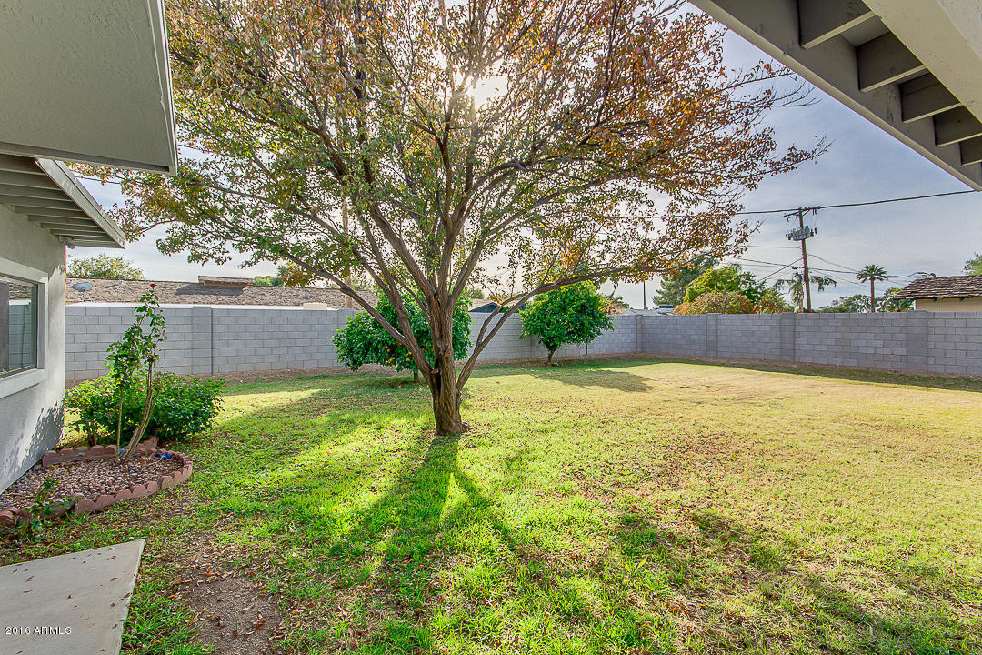 801 E Desert Park Ln, Phoenix, AZ 85020 photo 64