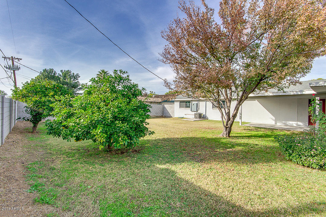801 E Desert Park Ln, Phoenix, AZ 85020 photo 87