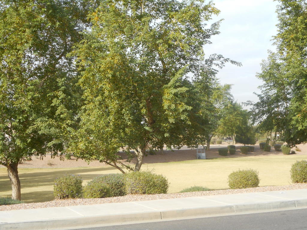 1209 E Grenadine Rd, Phoenix, AZ 85040 photo 17