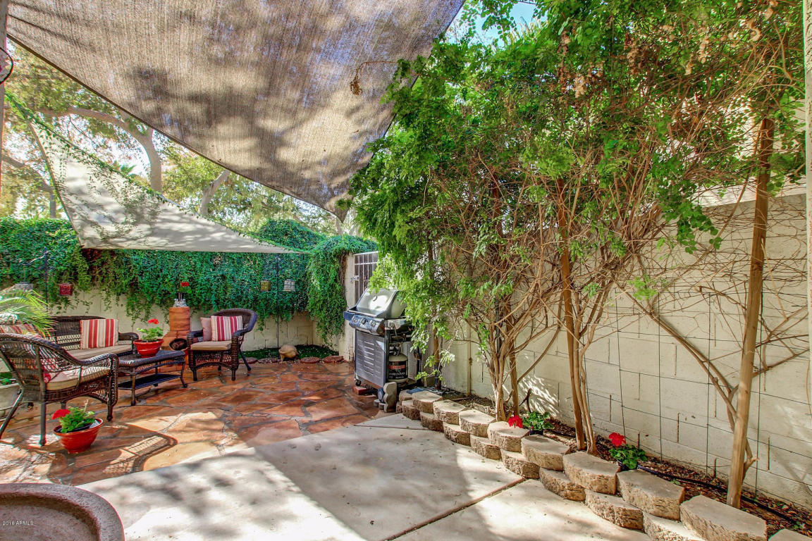 1123 W Mango Dr, Gilbert, AZ 85233 photo 27