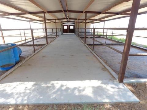 1799 W Bartlett Rd, Coolidge, AZ 85128 photo 66