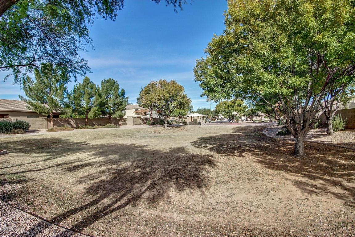 1805 Erie St, Gilbert, AZ 85295 photo 29