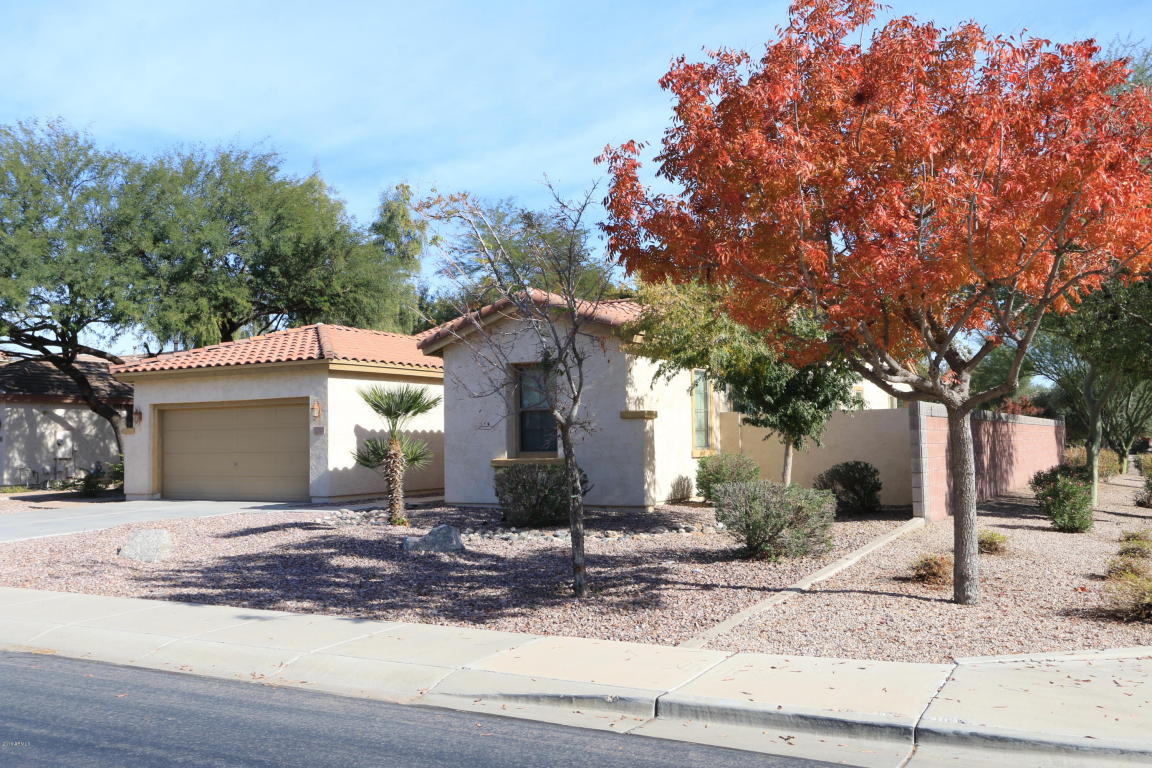 5165 S Marble St, Gilbert, AZ 85298 photo 16