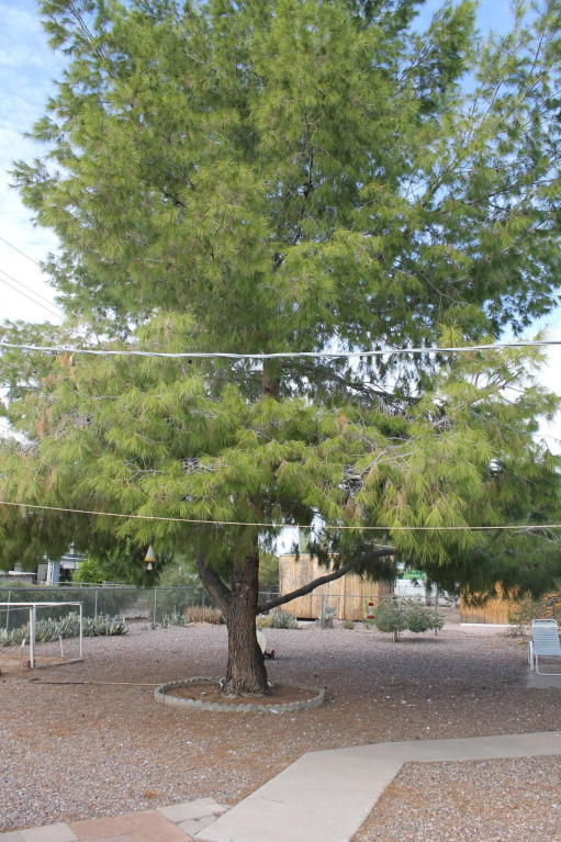 1472 S Ocotillo Dr, Apache Junction, AZ 85120 photo 21