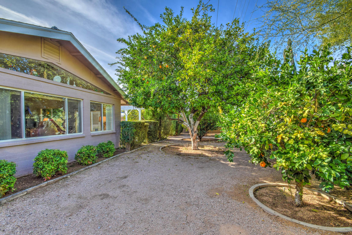 5722 E Colby St, Mesa, AZ 85205 photo 17