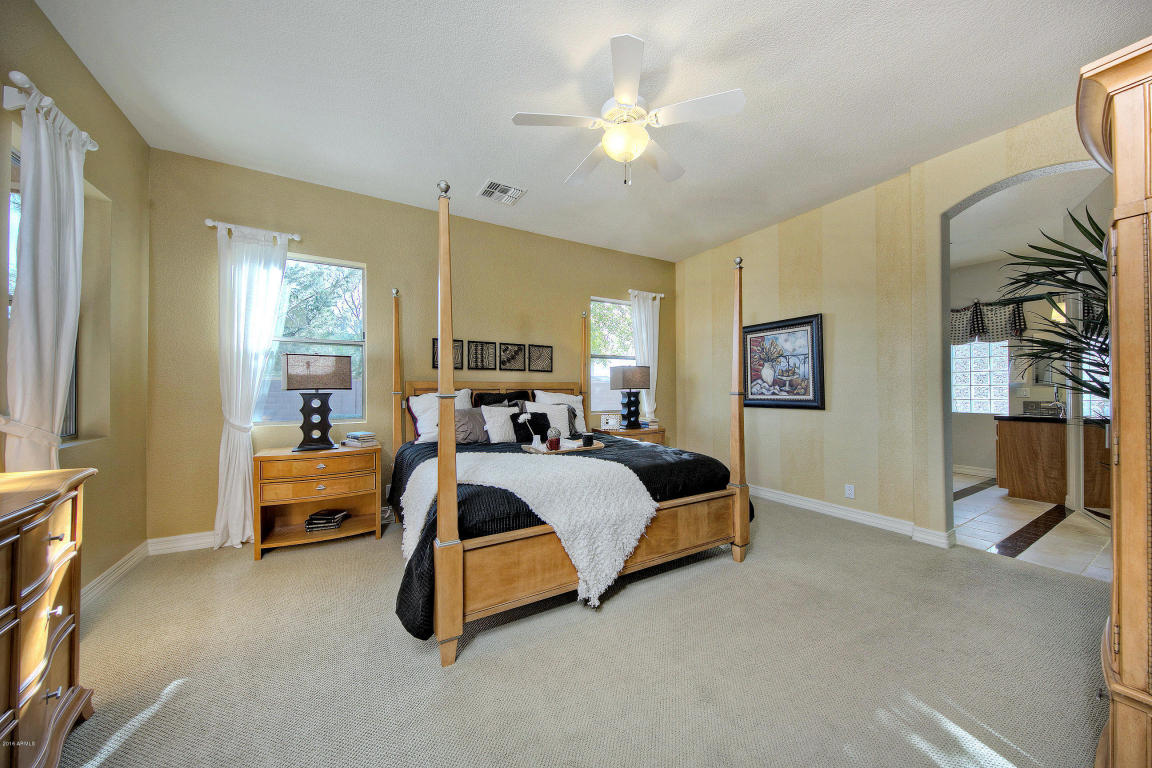 11241 E Lakeview Cir, Mesa, AZ 85209 photo 20