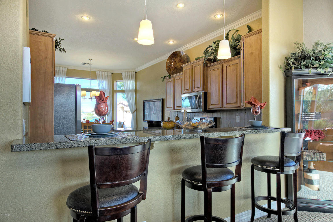 11241 E Lakeview Cir, Mesa, AZ 85209 photo 9