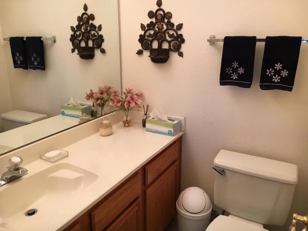 7118 E Indigo St, Mesa, AZ 85207 photo 11