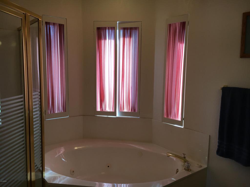 7118 E Indigo St, Mesa, AZ 85207 photo 14
