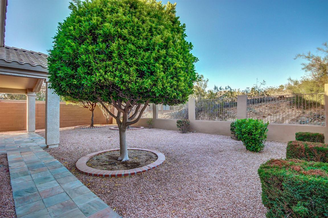 16671 S 2nd Pl, Phoenix, AZ 85048 photo 26