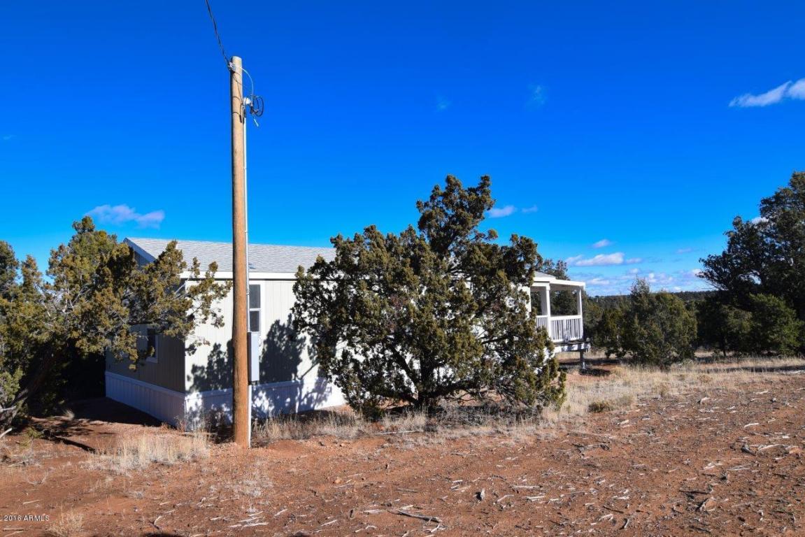 3364 Apache Dr, Overgaard, AZ 85933 photo 29