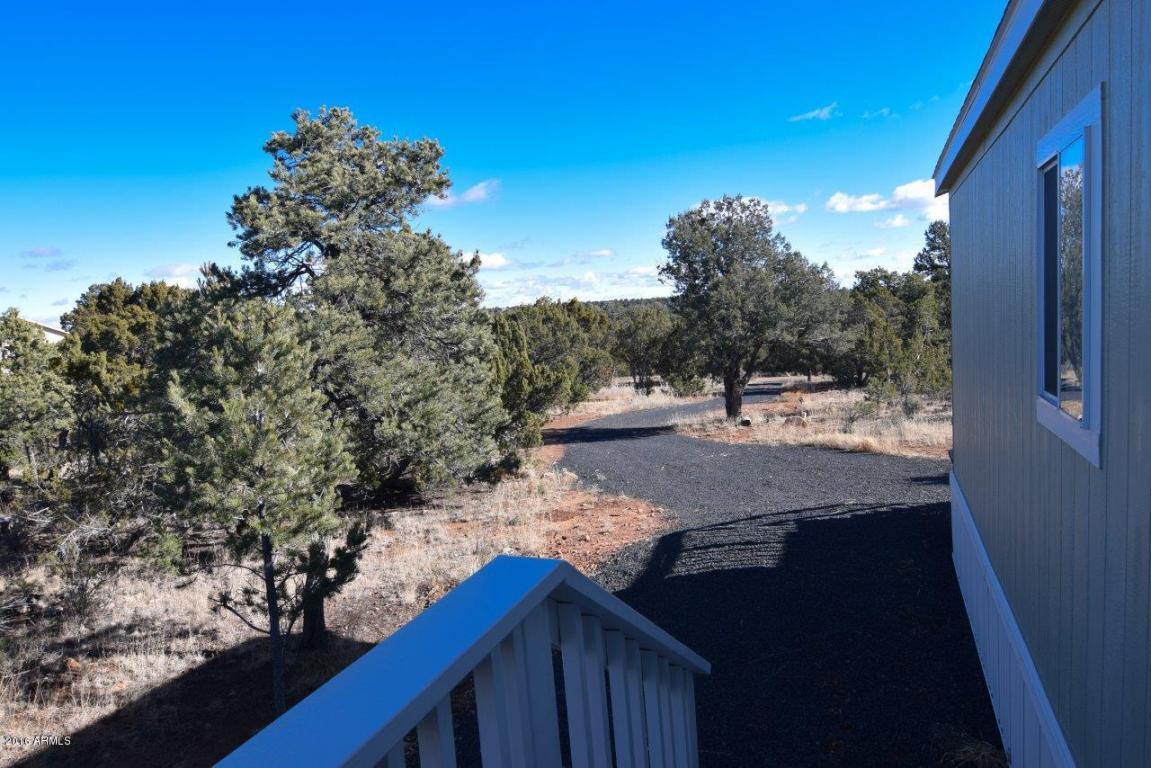 3364 Apache Dr, Overgaard, AZ 85933 photo 32