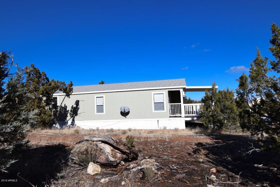3364 Apache Dr, Overgaard, AZ 85933 photo 30
