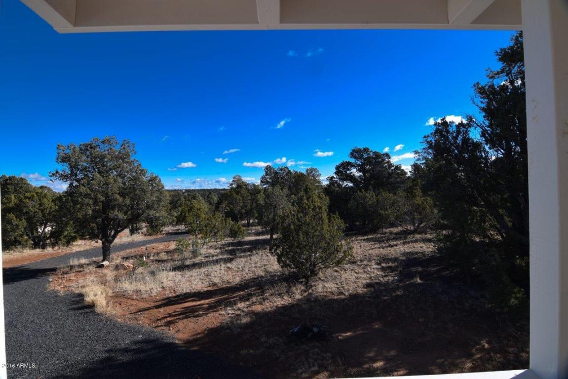 3364 Apache Dr, Overgaard, AZ 85933 photo 6