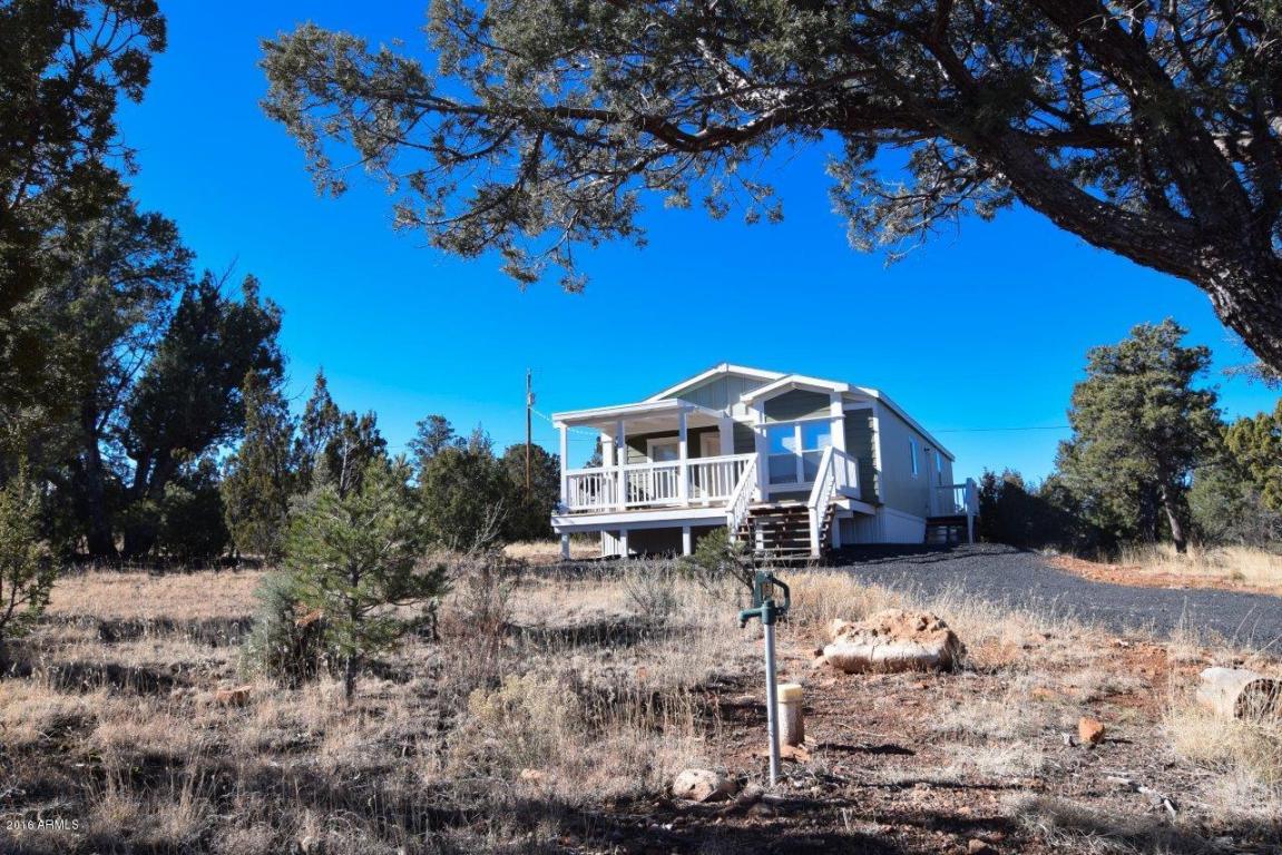 3364 Apache Dr, Overgaard, AZ 85933 photo 26