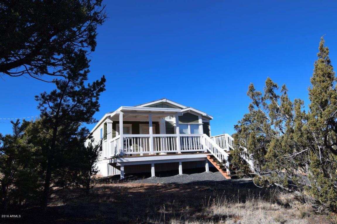 3364 Apache Dr, Overgaard, AZ 85933 photo 28