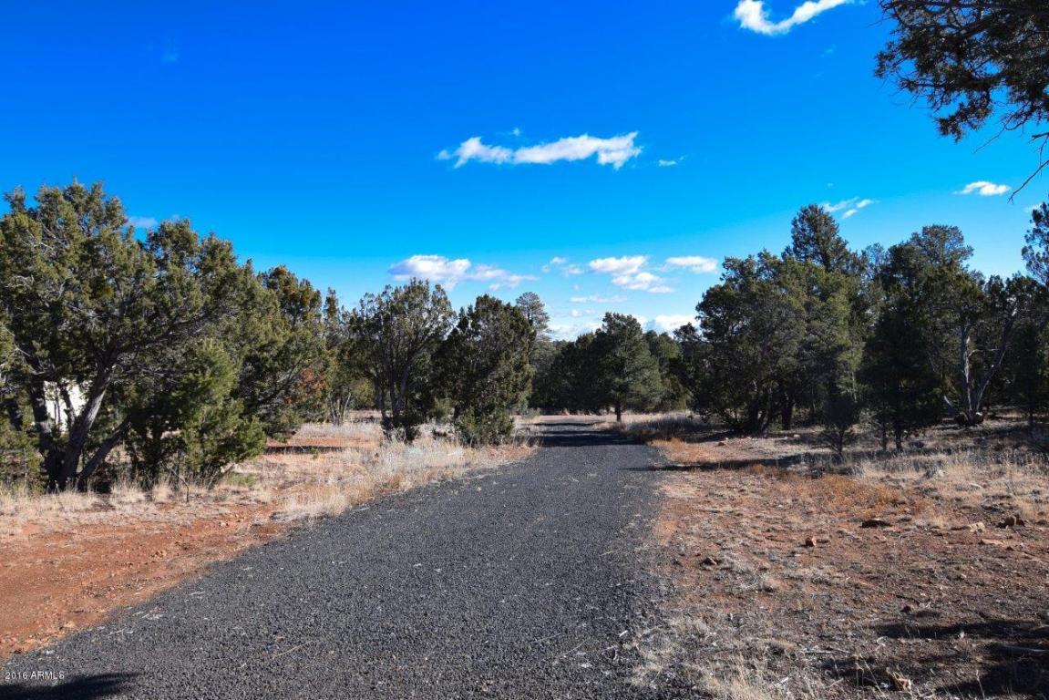 3364 Apache Dr, Overgaard, AZ 85933 photo 31