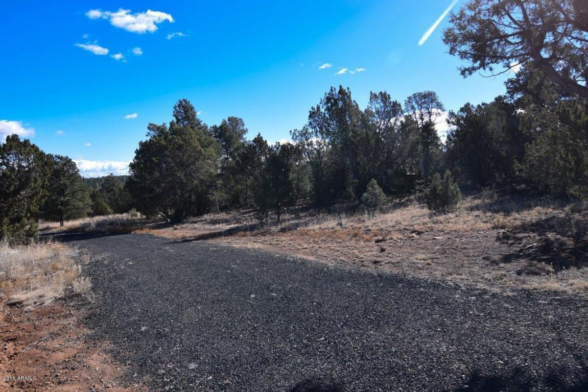 3364 Apache Dr, Overgaard, AZ 85933 photo 33