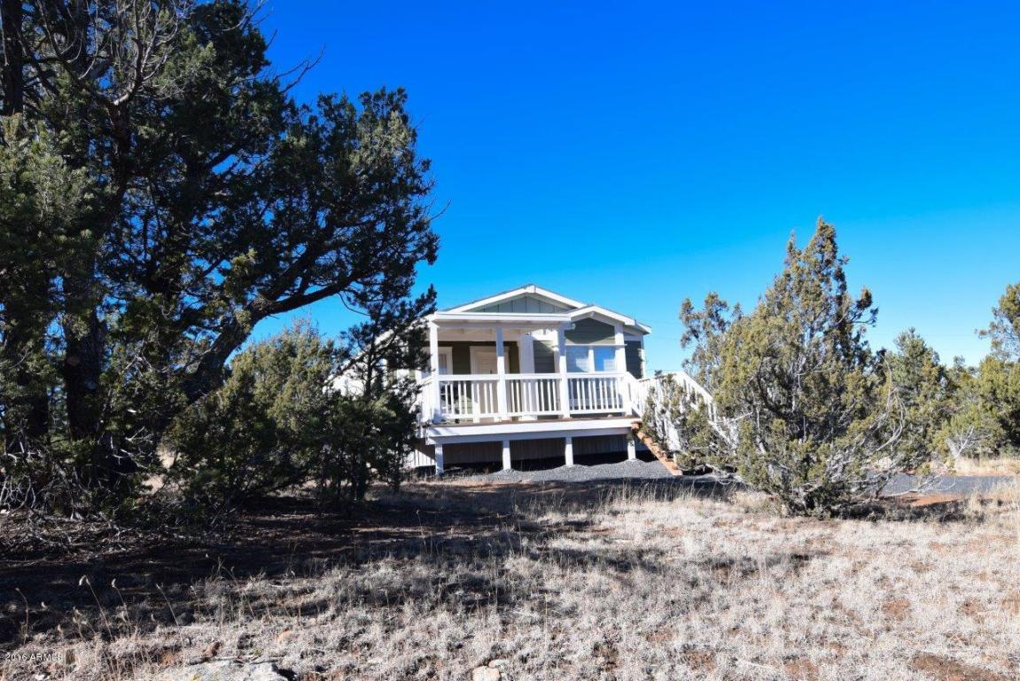 3364 Apache Dr, Overgaard, AZ 85933 photo 27