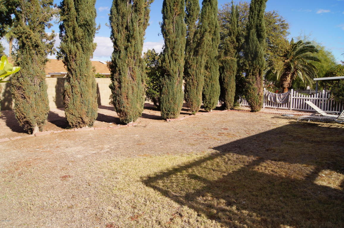 4302 E Kiowa St, Phoenix, AZ 85044 photo 5